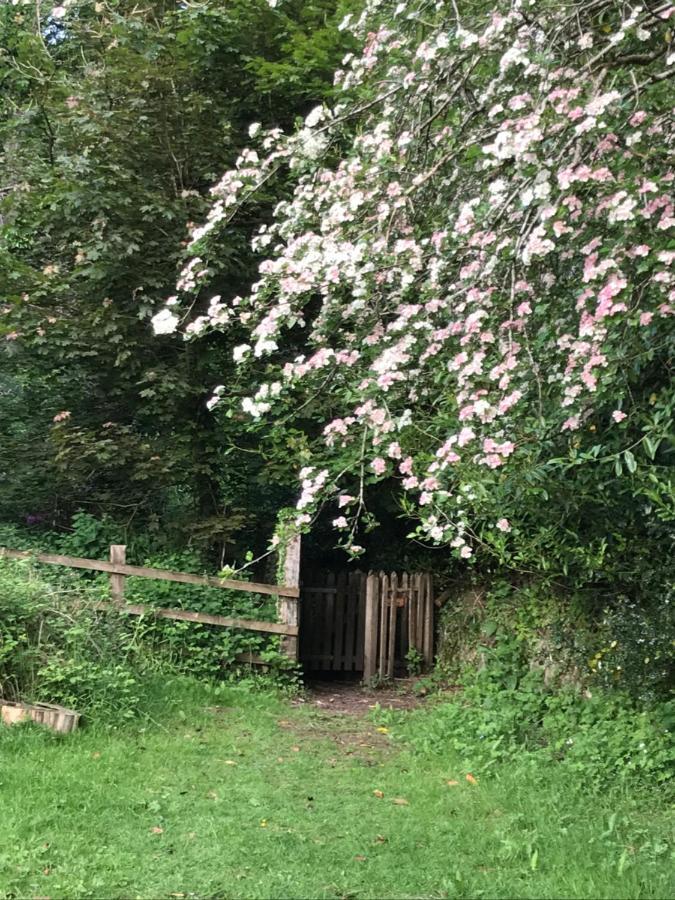 Oak Lodge Tavistock  Eksteriør billede