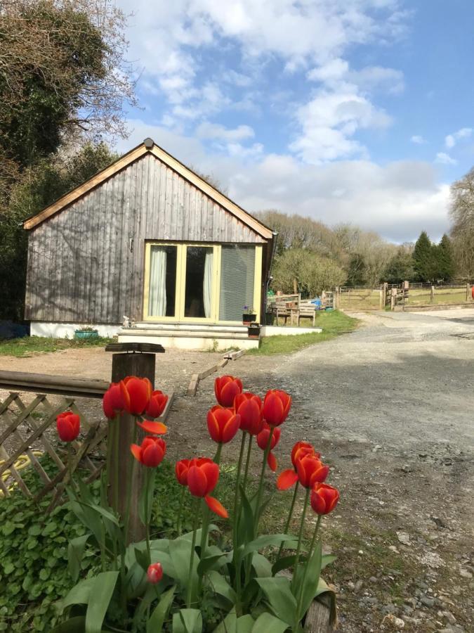 Oak Lodge Tavistock  Eksteriør billede